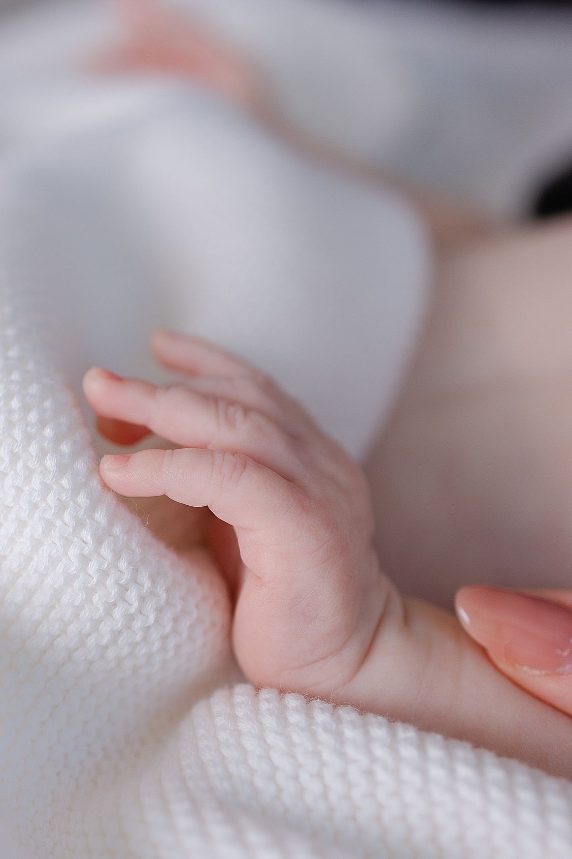 Close-up of tiny baby hands wrapped in a light blanket, photographed by Pittsburgh lifestyle newborn photographer, Shayna VanDamia.