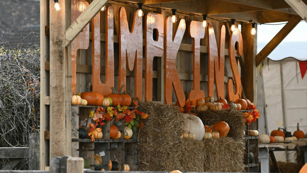 Fall festivals around Pittsburgh is always a fun activity to do as a family