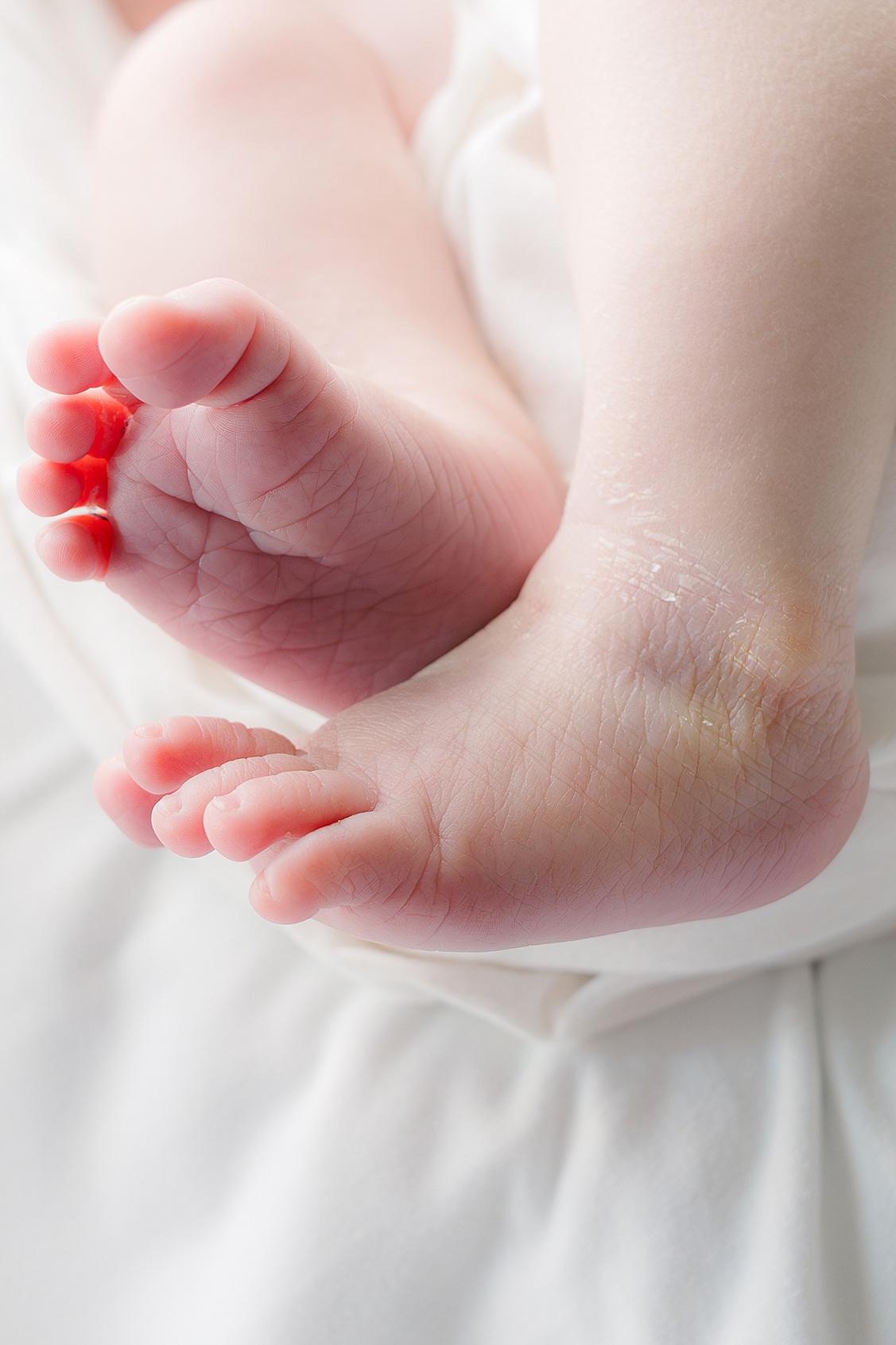 Hampton, PA Maternity Photographer captured baby boys feet.