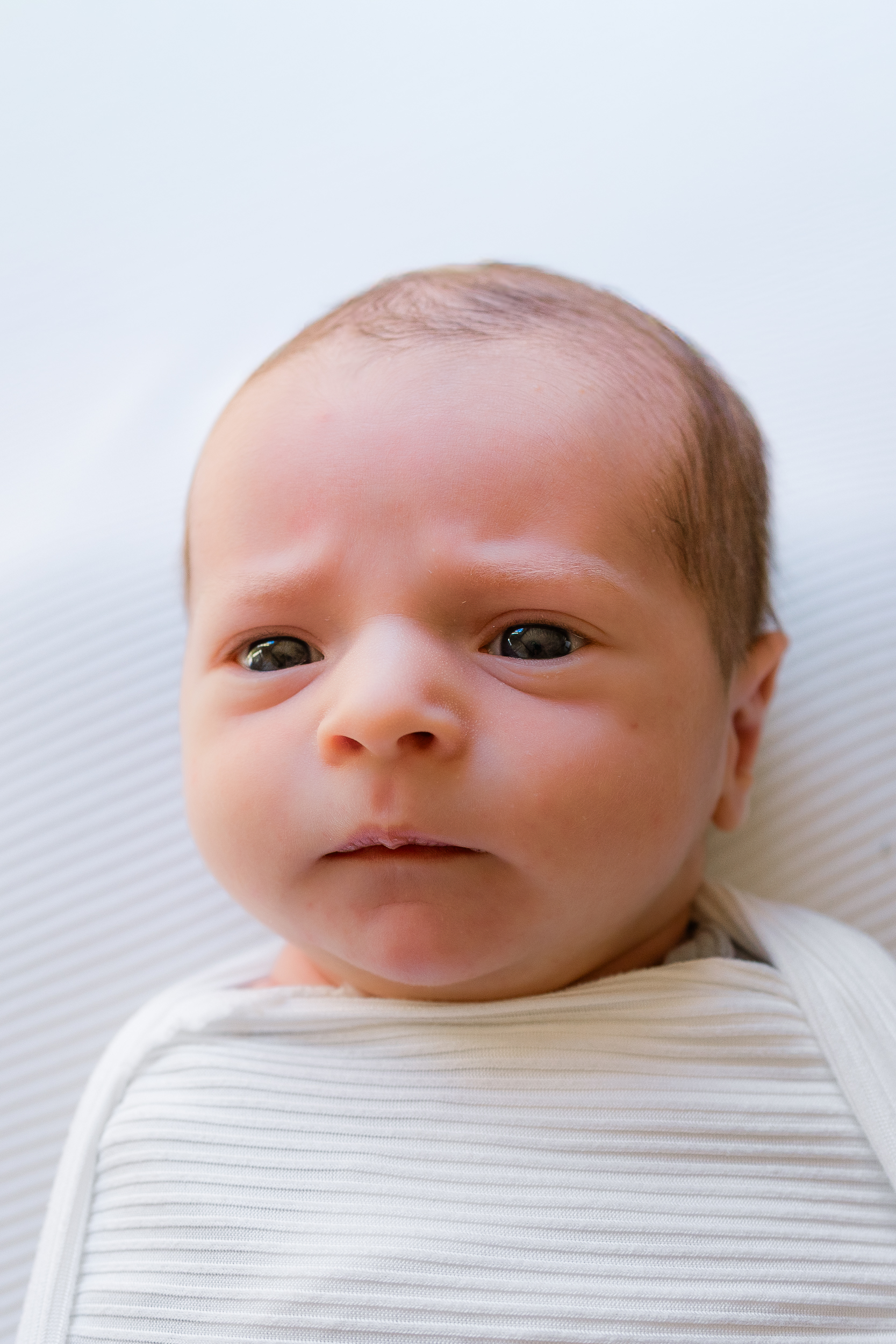 Baby boy is wide awake for part of his newborn session in Wexford, PA.
