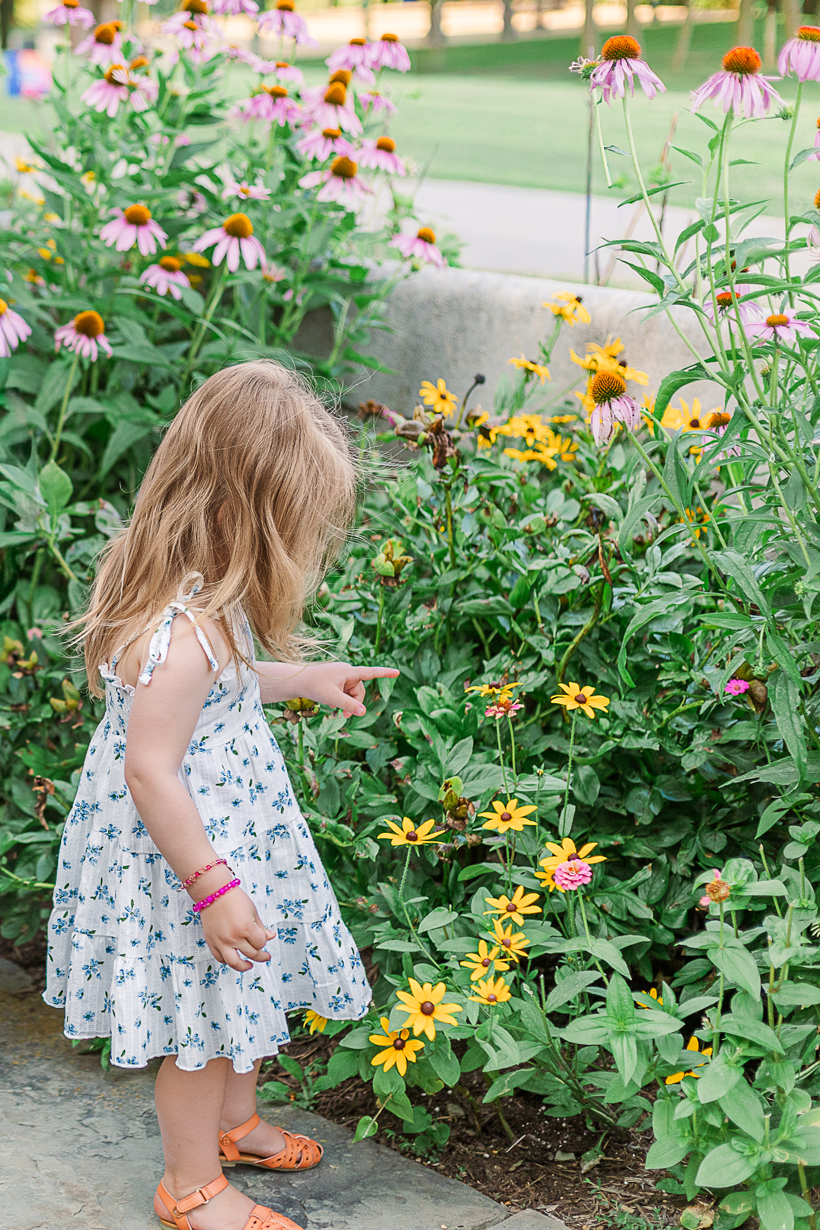 Little girl looking at the flowers at Hartwood Acres during her moms maternity photo session.  